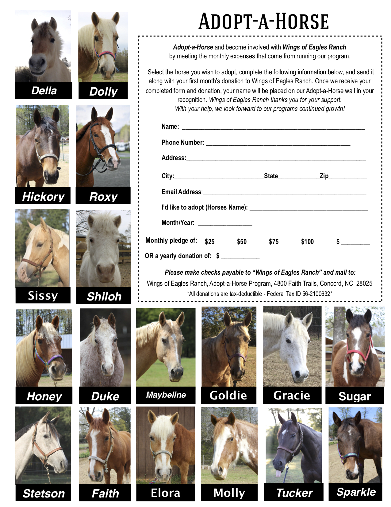 download petz 5 breedz horses